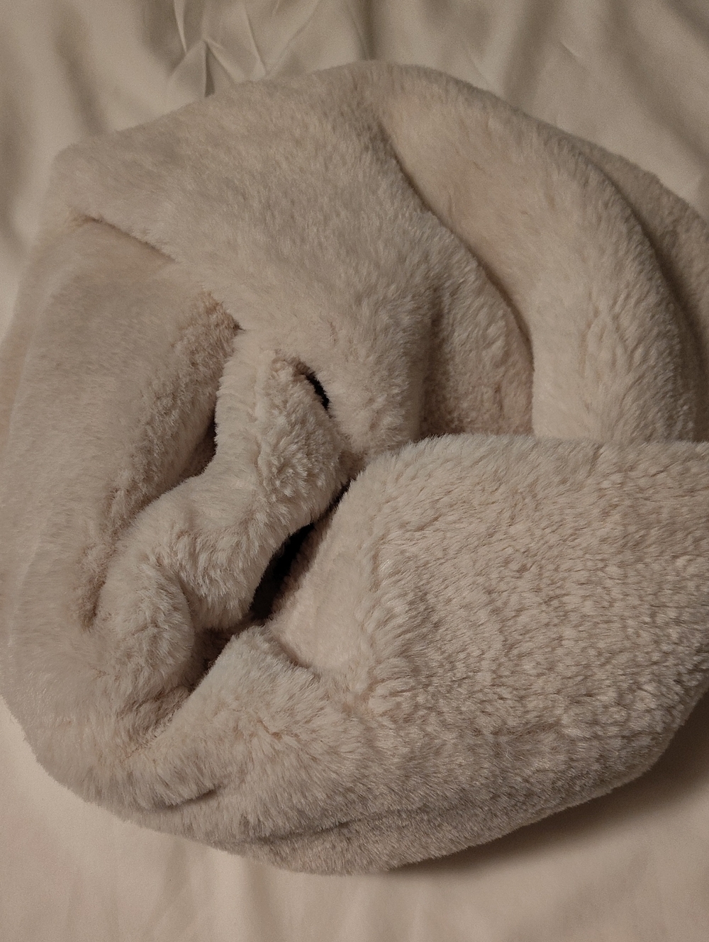 Cozy Plush Faux Fur Infinity Scarf - Cream